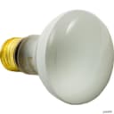 Replacement R20 Bulb, 100W Incandescent (60w Halogen)