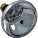 Replacement Bulb, 100W 120V