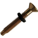 Brass Pilot Screw w/ Captive Gum Washer