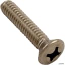 Amerlite Niche Screw, 1/4-20x 1-1/4"