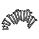 10-Hole Niche 1" Screw Kit with Double Wall Gasket