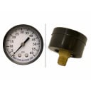 Pressure Gauge, Back Mount, Steel Case