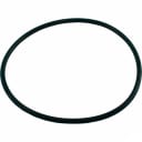 O-Ring, Valve Flange