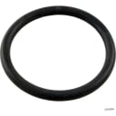 Piston Assembly O-Ring