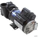 3HP 2-Speed EX 2 Spa Pump, 12 Amps, 230V