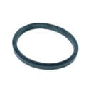 Diffuser Gasket SS-1600-R