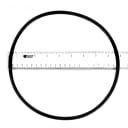Whisperflo XF Seal Plate O-Ring