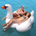 Giant Swan Pool Float