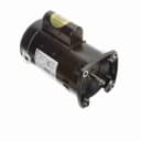 1.0 HP Square Flange Pool Pump Motor, 1 PH, 60 HZ, 230/115 V, 3450RPM, 56Y Frame