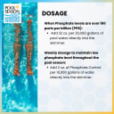 Phosphate Control – High-Strength Phosphate Remover for Swimming Pools – Treats Up to 3,000 ppb – 1 Quart