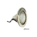 Incandescent Pool Light Fixture With 50' Cord 400W 120V