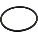 Challenger Strainer Pot Flange O-Ring