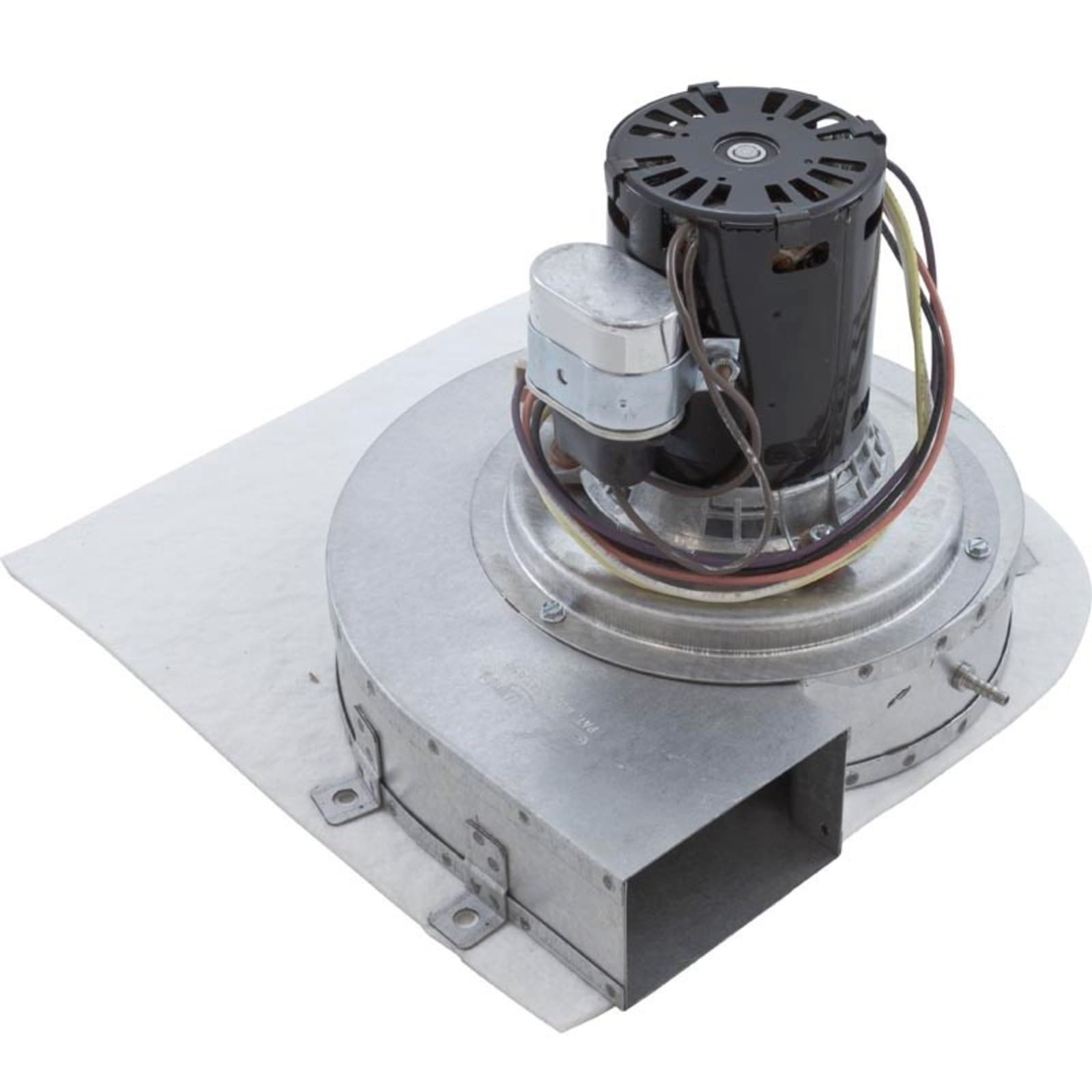 Pentair MiniMax NT Blower with Gasket