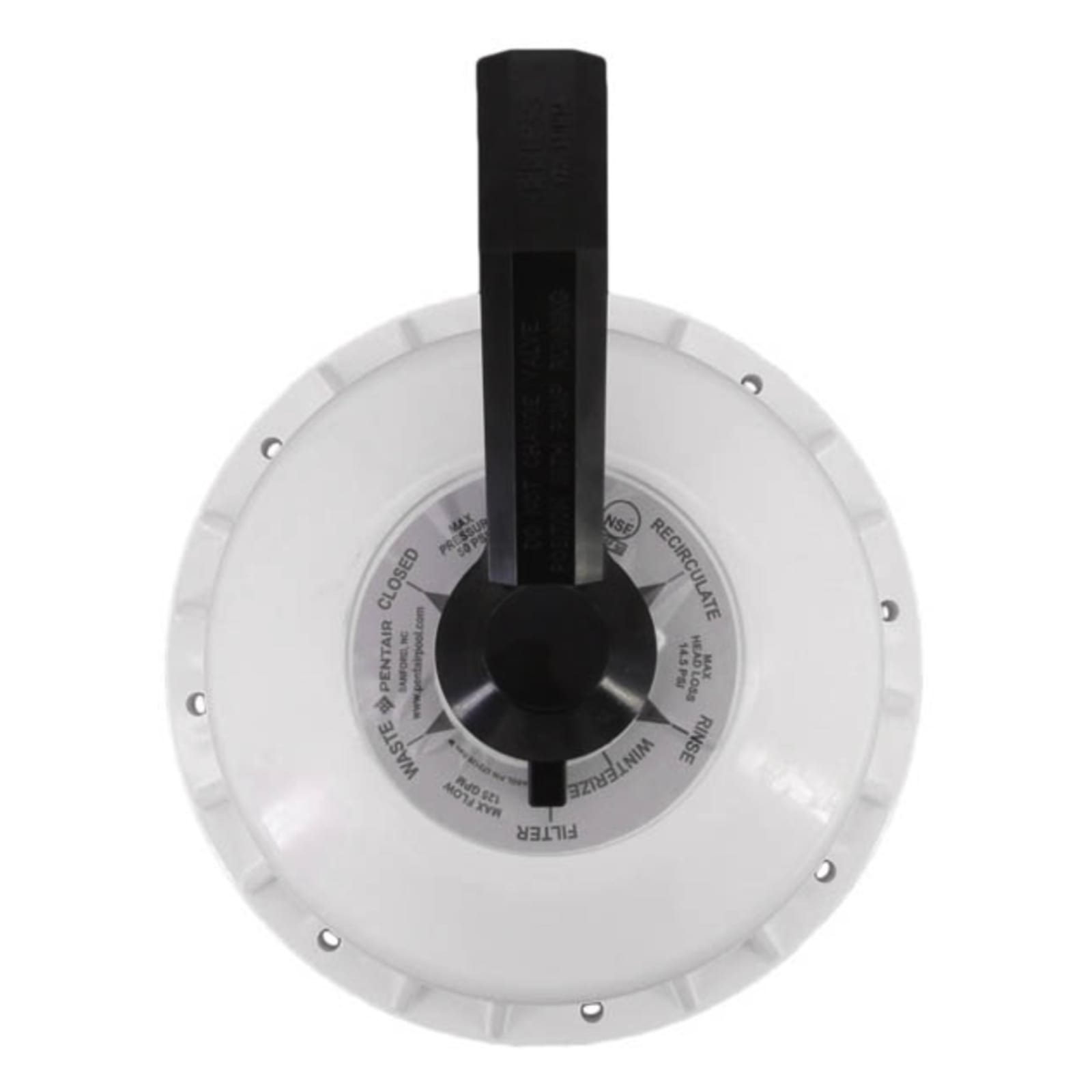 Pentair 272422 Valve Top Assembly