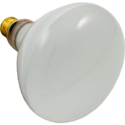 Replacement Bulb, 500W 120V