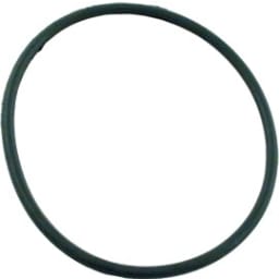 Lid O-Ring