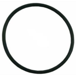 O-Ring For Select Pentair/ Pac Fab Equipment