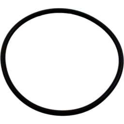 Cover O-Ring For C250CF/C500CF Chlorine Feeder