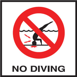 NO DIVING 6x6 Glass Overlay w/ Image