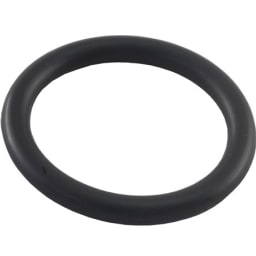 Check Valve O-Ring