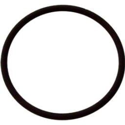 Clearwater Chlorinator Lid O-Ring (Before 2003)