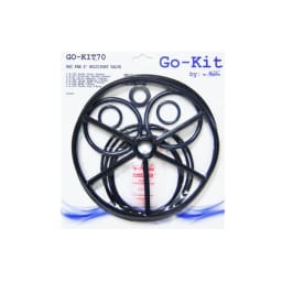 2" Valve Rebuild Kit