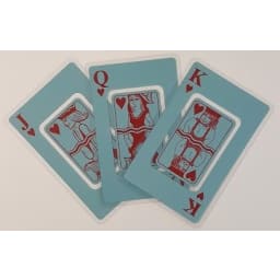 Game Waterproof Playing Cards