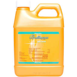 Brilliance pH True 1 QT.