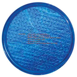 5 ft Plain Blue Solar Sun Ring with Water Anchor