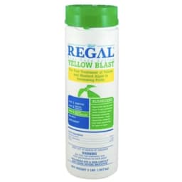 Yellow Blast for Treatment of Yellow and Mustard Algae in Swimming Pools, 2 lbs Bottle