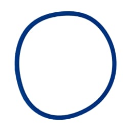 Lid O-Ring for Intelliflo3 Pool Pump