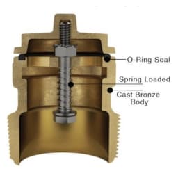 Hydrostatic Relief Valve 2" Bronze