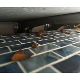 13" Stainless Steel Adjustable Walk-on Lid Bracket with Mounting Base