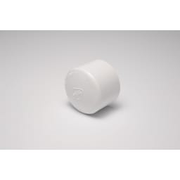 1-1/2-Inch Cap, Slip Each