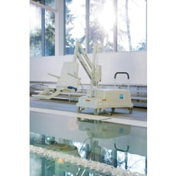 Pal2 Pool Lift Hi/Lo