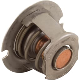 Thermal Regulator for MasterTemp 125 Heater Water System