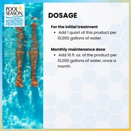 Stain & Scale Control – Prevents Mineral Stains, Scale Buildup, and Corrosion – Protects Pool Surfaces, Heaters, and Filters – 1 Quart