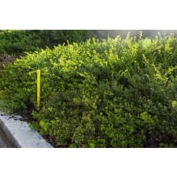 ECO-ID, Drip System Indicator