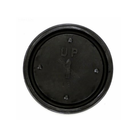 Diaphragm Switch for Big John 8-CIA Pump