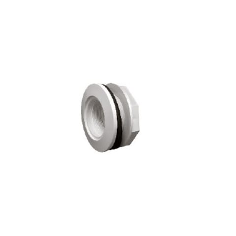 Gunite Wall Fitting for Lens - White