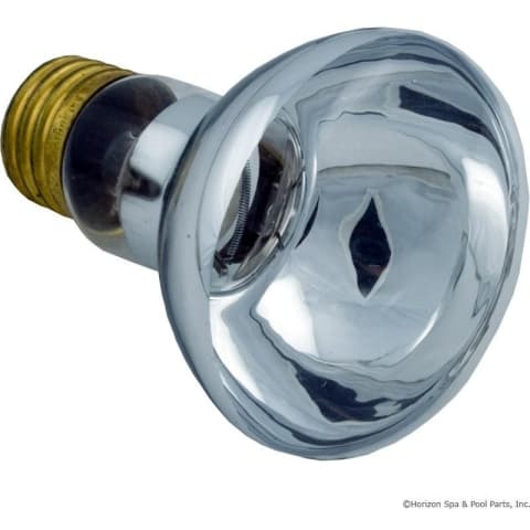 Replacement 100W Bulb, 12V