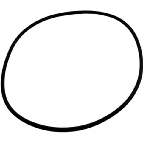 Chlorinator Lid O-Ring