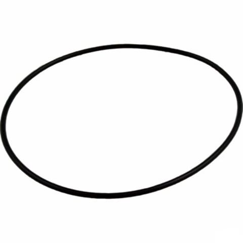 Pump Faceplate O-Ring