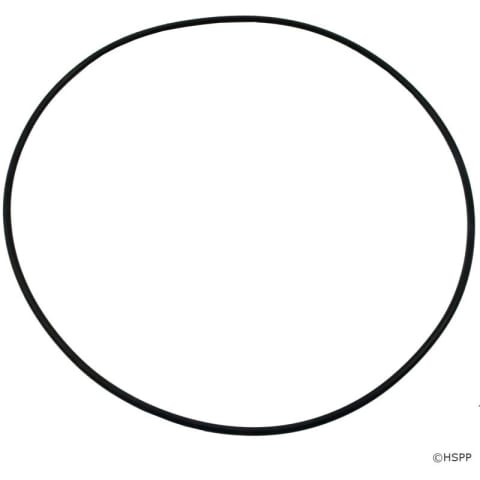 Volute O-Ring For Aqua-Flo Pumps