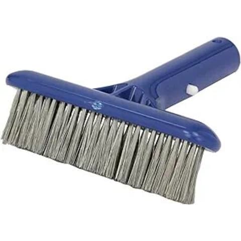 6'' Molded Back Stainless Steel Bristle Algae Brush
