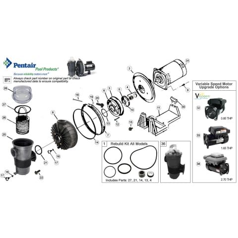 Pentair Challenger Pool Pump Parts Diagram