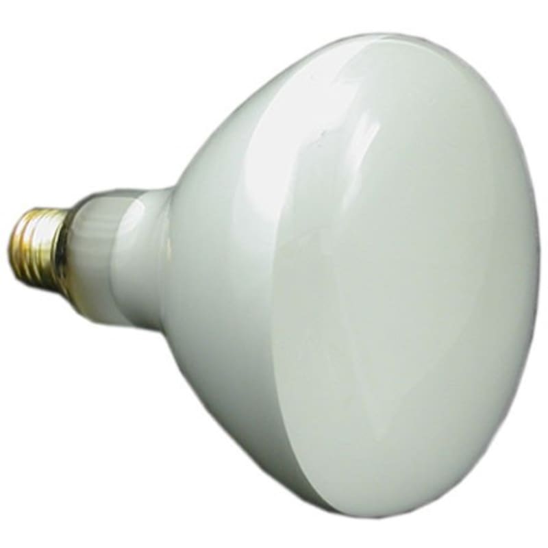 Replacement Bulb, 300W 12V - Medium Base