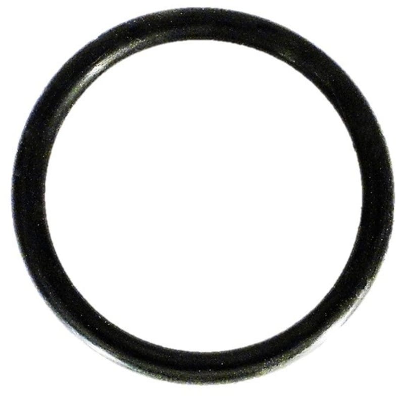 Sta-Rite 1.5in BW Valve Piston Seal