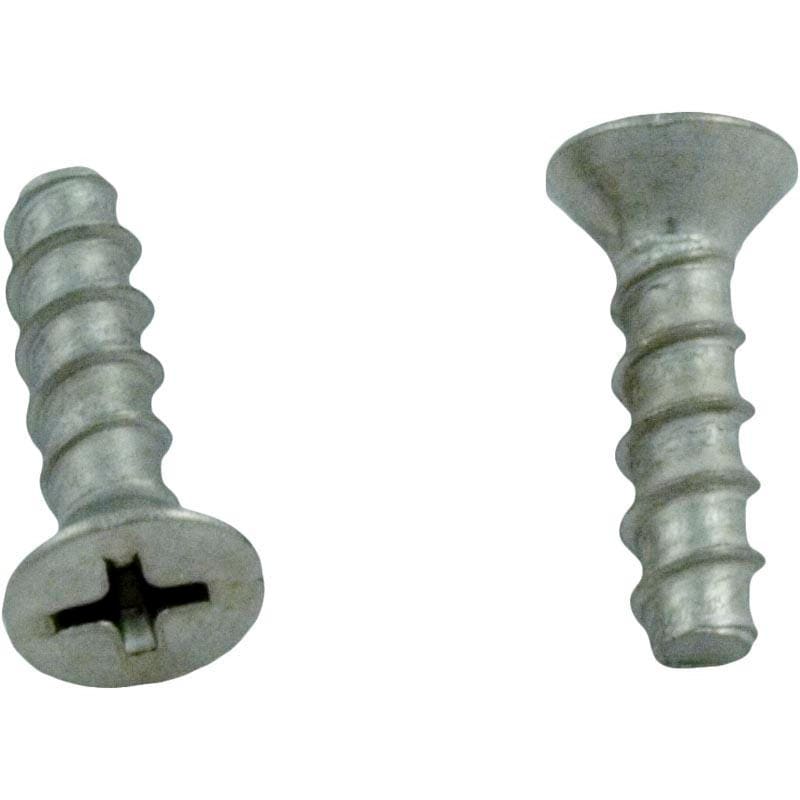 Grate Screw Set (2 per pack)