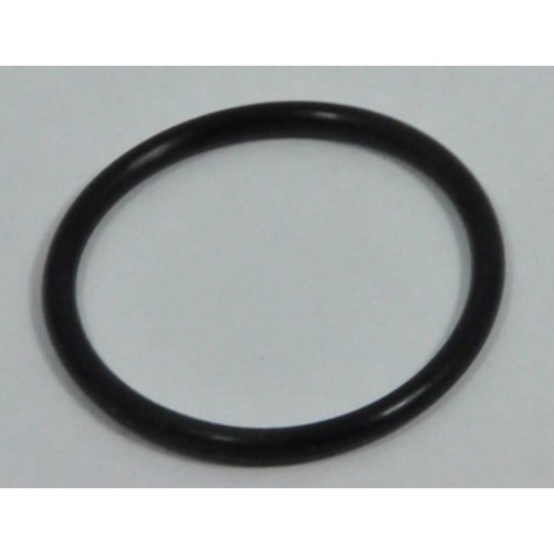 Diverter Valve O-Ring For SP0727